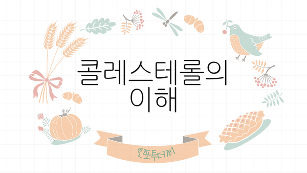 콜레스테롤의 이해