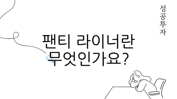 팬티 라이너란 무엇인가요?