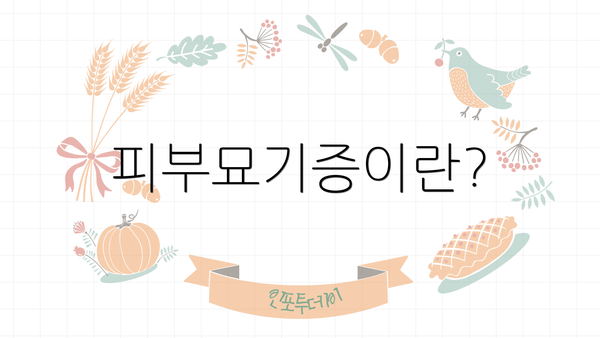 피부묘기증이란?