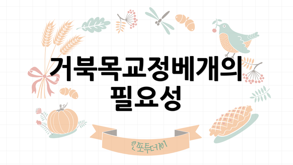 거북목교정베개의 필요성