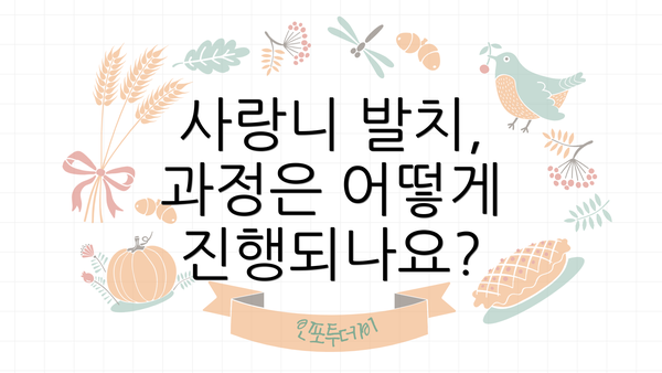 사랑니 발치, 과정은 어떻게 진행되나요?