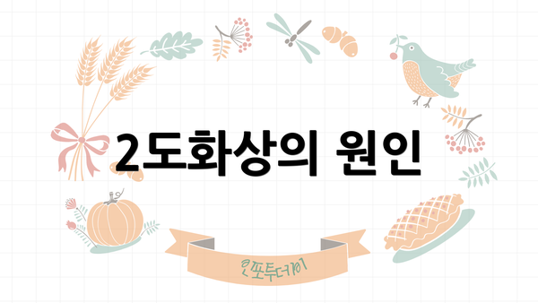 2도화상의 원인