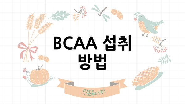 BCAA 섭취 방법