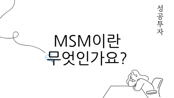 MSM이란 무엇인가요?