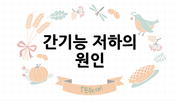간기능 저하의 원인