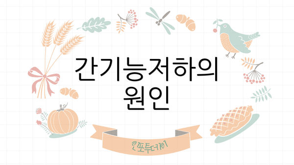 간기능저하의 원인
