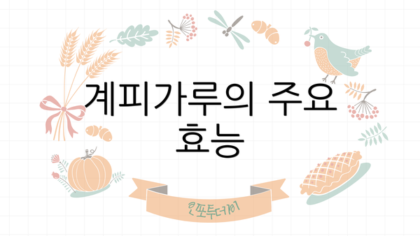 계피가루의 주요 효능