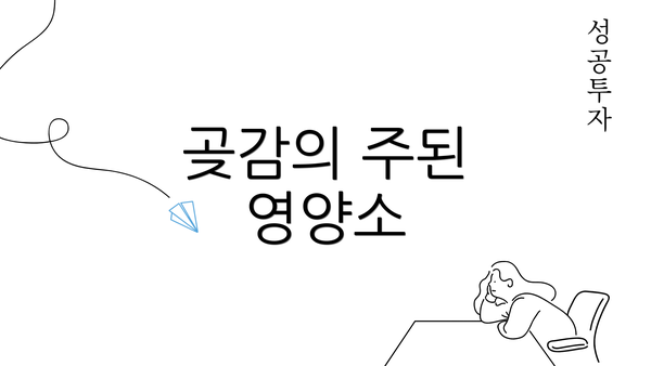 곶감의 주된 영양소