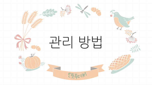 관리 방법