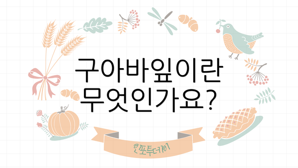 구아바잎이란 무엇인가요?