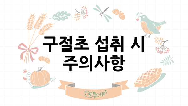 구절초 섭취 시 주의사항