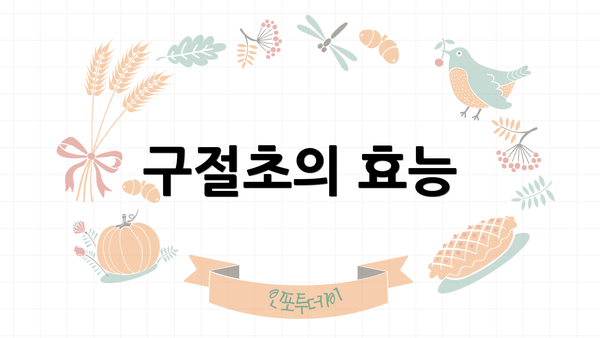 구절초의 효능