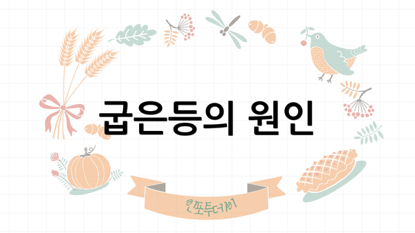 굽은등의 원인