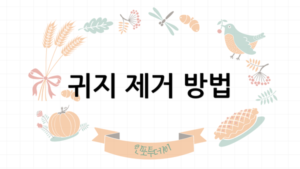귀지 제거 방법