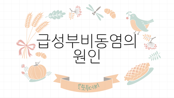 급성부비동염의 원인