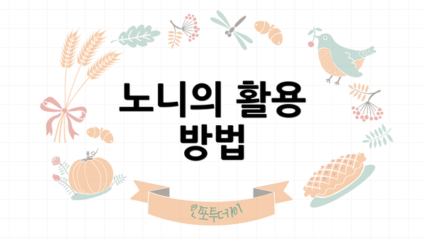 노니의 활용 방법