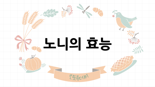 노니의 효능