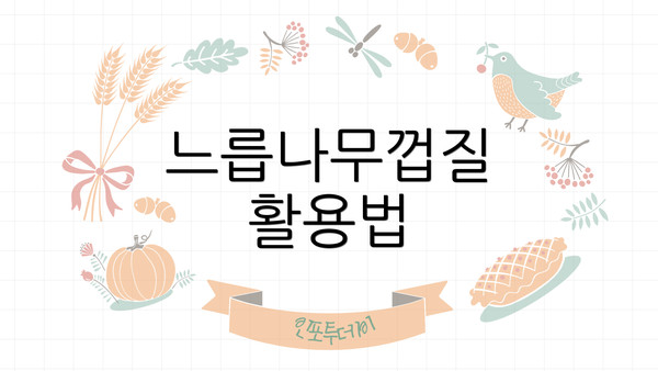 느릅나무껍질 활용법