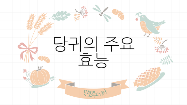 당귀의 주요 효능