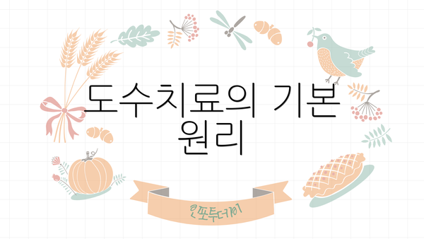 도수치료의 기본 원리