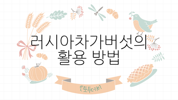 러시아차가버섯의 활용 방법