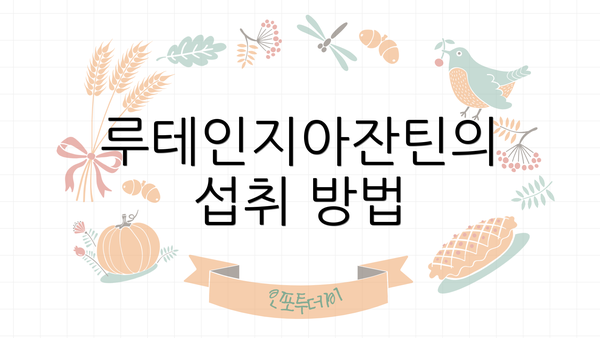 루테인지아잔틴의 섭취 방법