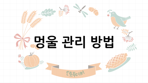 멍울 관리 방법