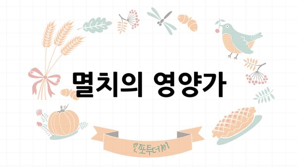 멸치의 영양가