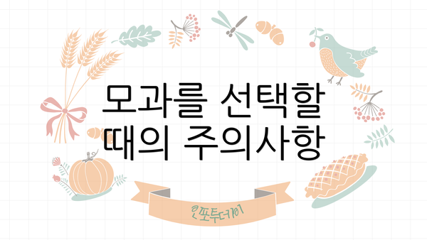 모과를 선택할 때의 주의사항