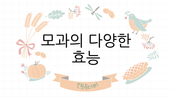 모과의 다양한 효능