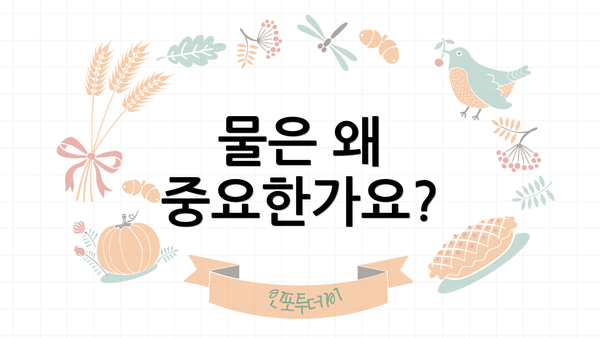 물은 왜 중요한가요?