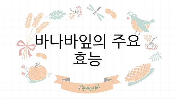 바나바잎의 주요 효능