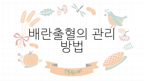 배란출혈의 관리 방법