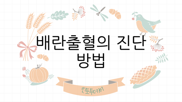 배란출혈의 진단 방법