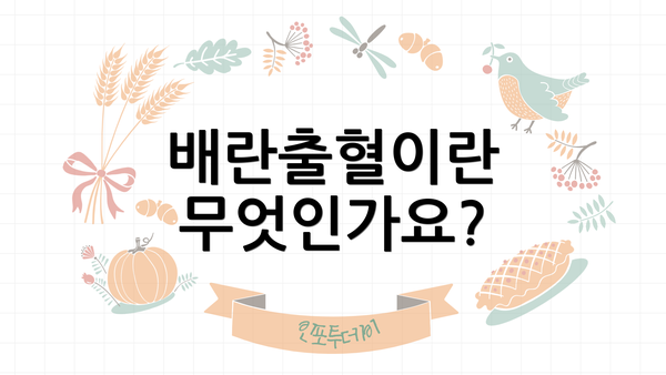 배란출혈이란 무엇인가요?