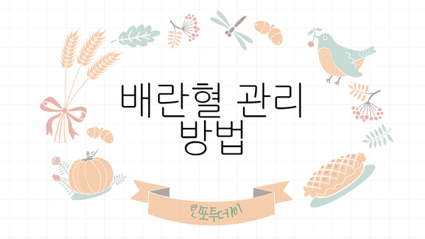 배란혈 관리 방법