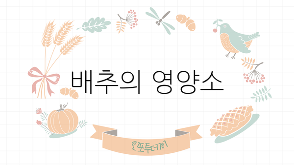 배추의 영양소