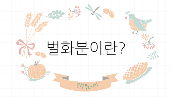 벌화분이란?
