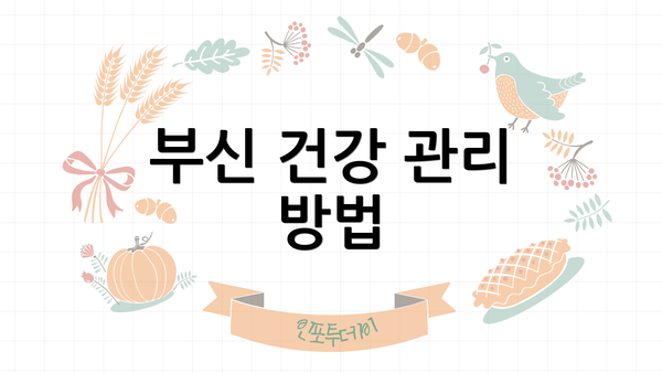 부신 건강 관리 방법