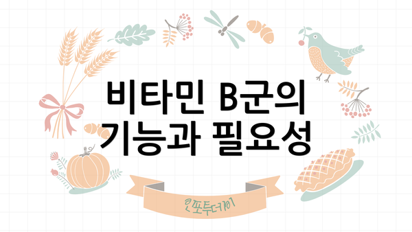 비타민 B군의 기능과 필요성