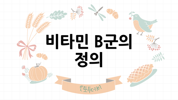 비타민 B군의 정의