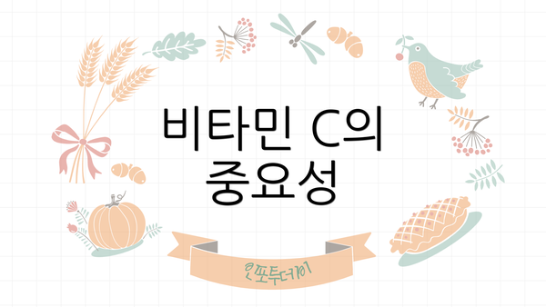 비타민 C의 중요성