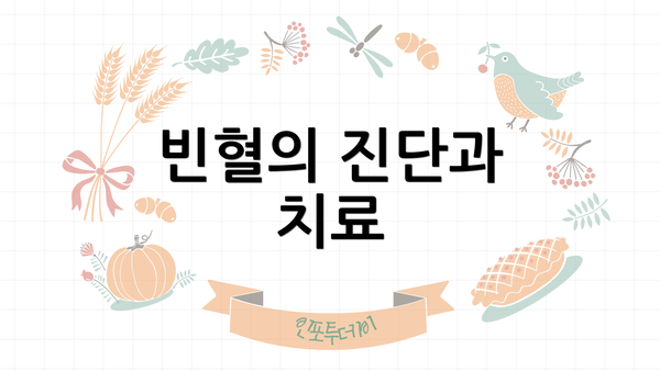 빈혈의 진단과 치료