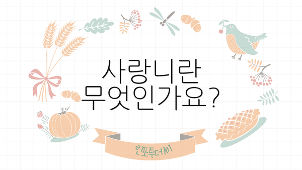 사랑니란 무엇인가요?