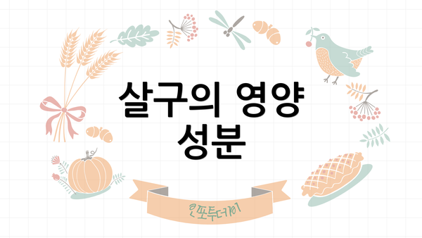 살구의 영양 성분