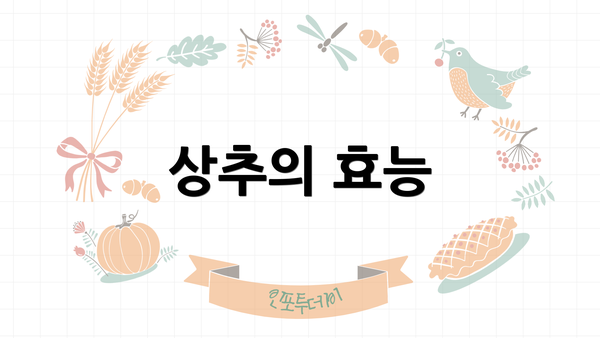 상추의 효능