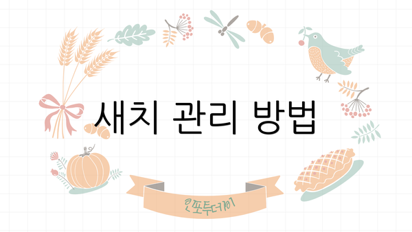 새치 관리 방법