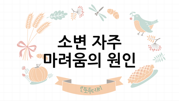 소변 자주 마려움의 원인