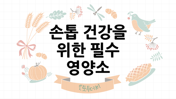 손톱 건강을 위한 필수 영양소