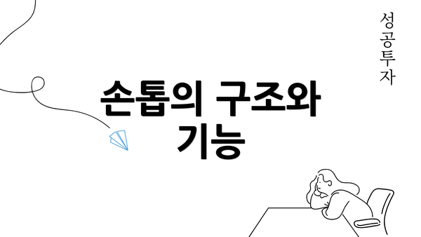 손톱의 구조와 기능